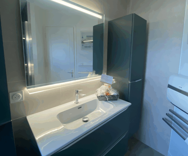 Projet salle de bain février 2026